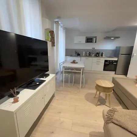 Le Neyron T2 Renove A Neuf Apartment Saint-Etienne (Loire)
