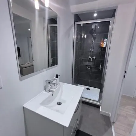 Apartment Le Neyron T2 Renove A Neuf Saint-Etienne (Loire)